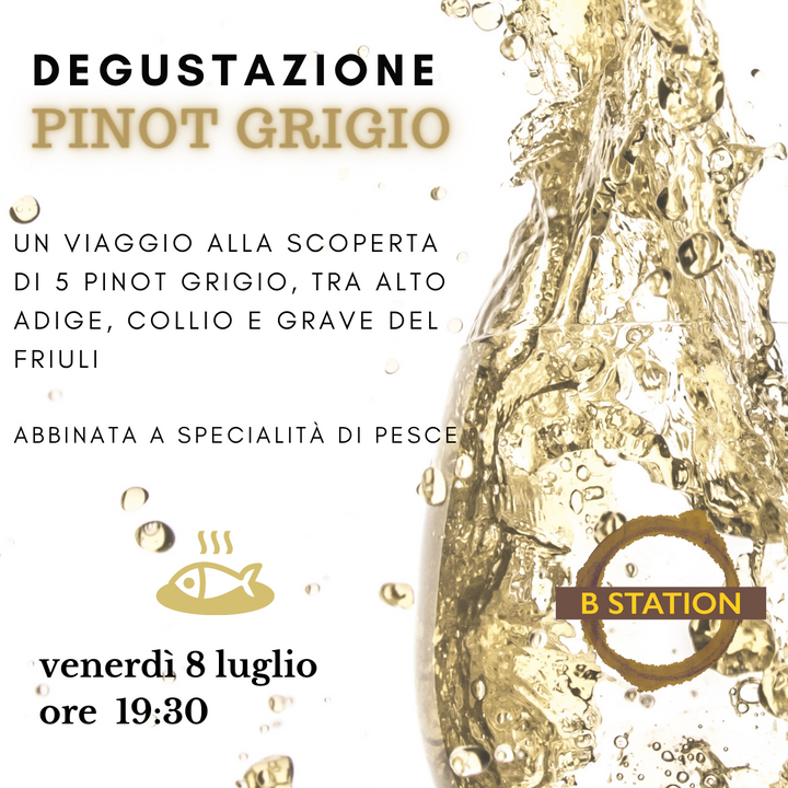 Degustazione Pinot Grigio
